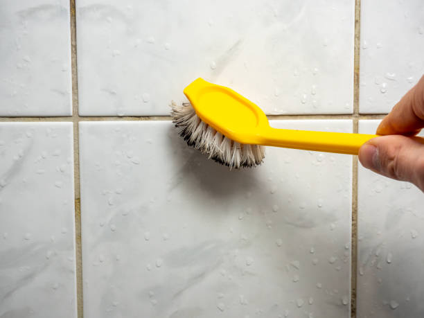 Best Commercial Mold Removal  in Trinity, NC