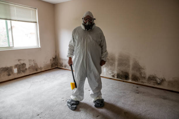 Best Fast Mold Removal  in Trinity, NC